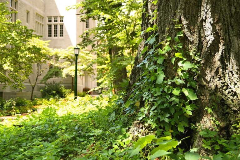 Kesempatan Karir dan Peluang Magang di Universitas Pertahanan RI